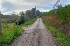 TERRENO AGRICOLO