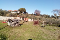 TERRENO ASSERVITO PER REALIZZAZIONE RIMESSA AGRICOLA